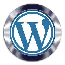 Wordpress seo plugin